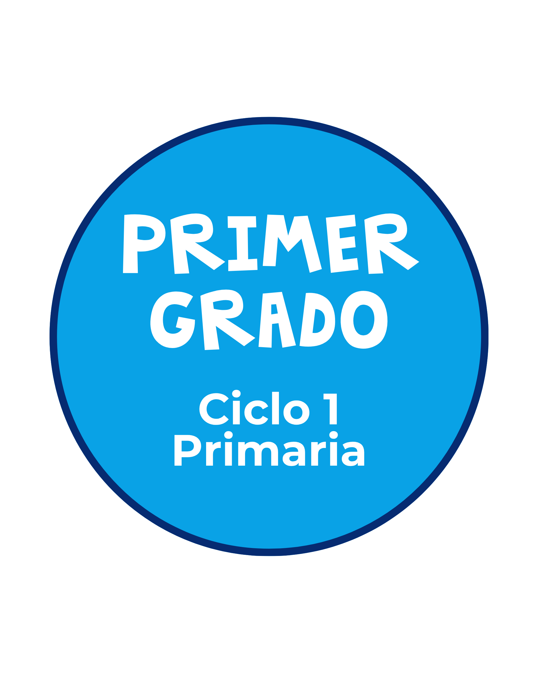 Primaria Curso 12