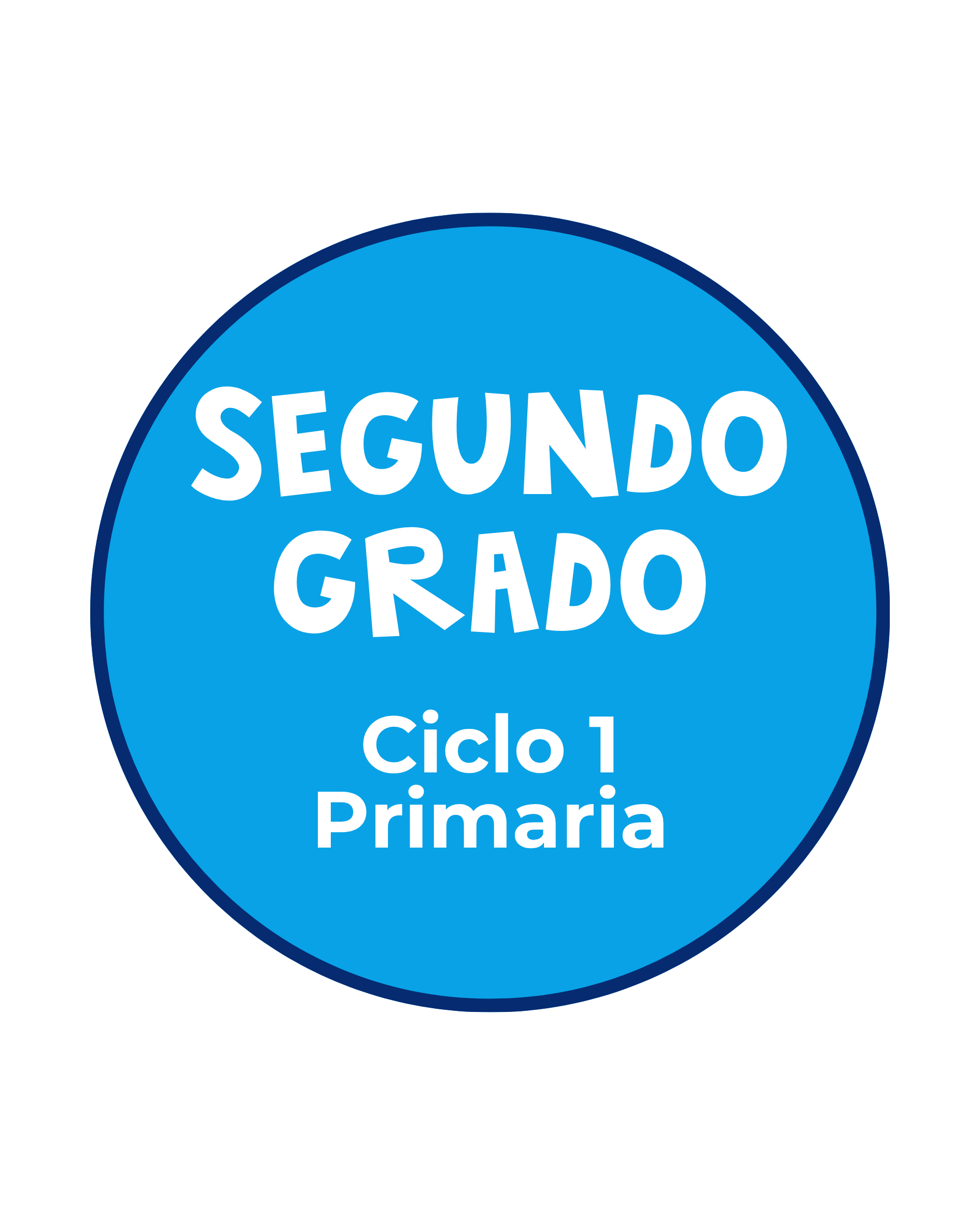 Primaria Curso 13