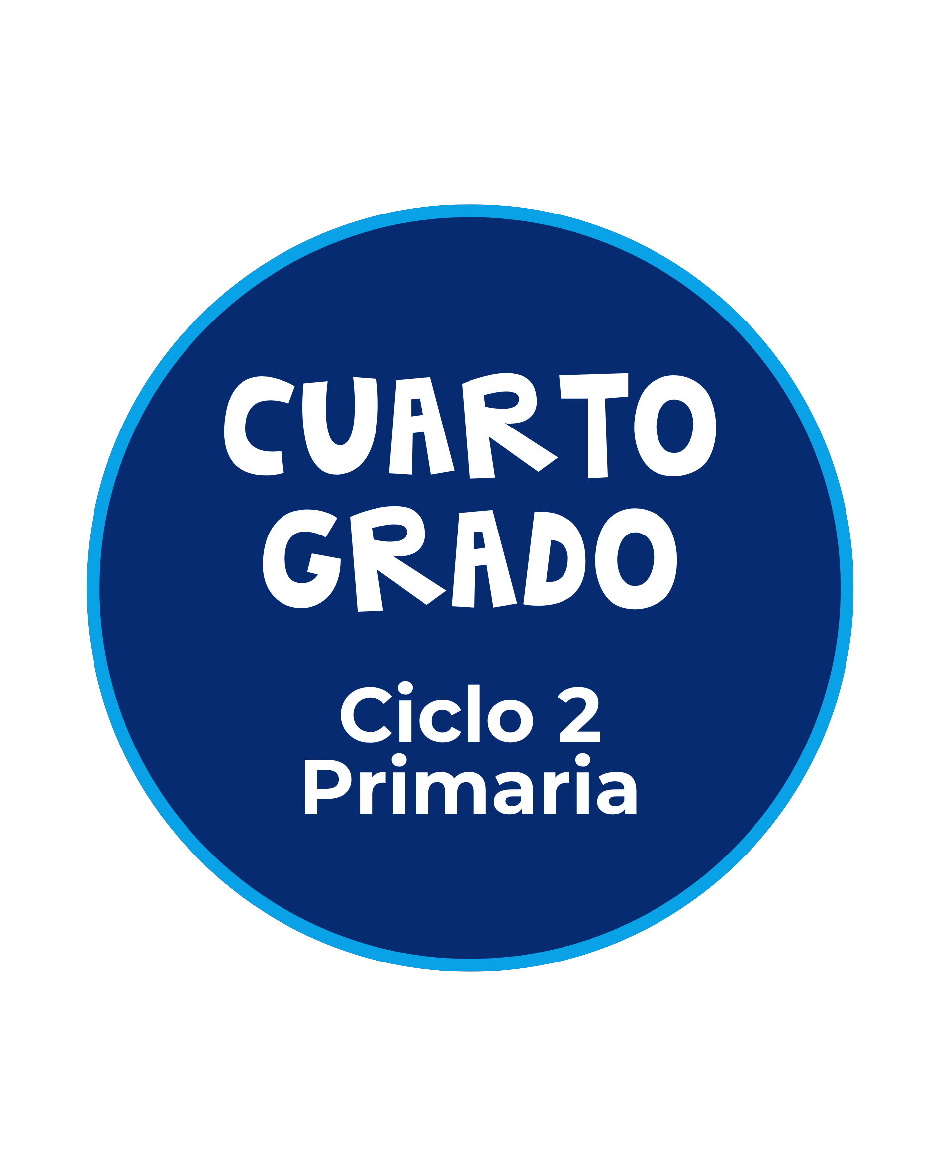 Primaria Curso 15